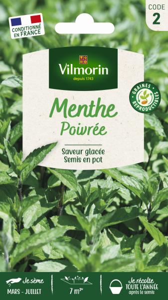 Aromatiques - Menthe Poivrée - PACKAGING_RECTO